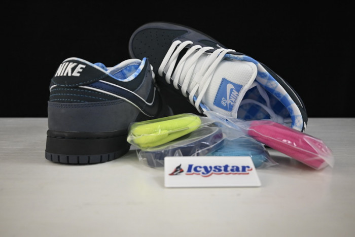 Nike SB Dunk Low Concepts Blue Lobster 313170-342