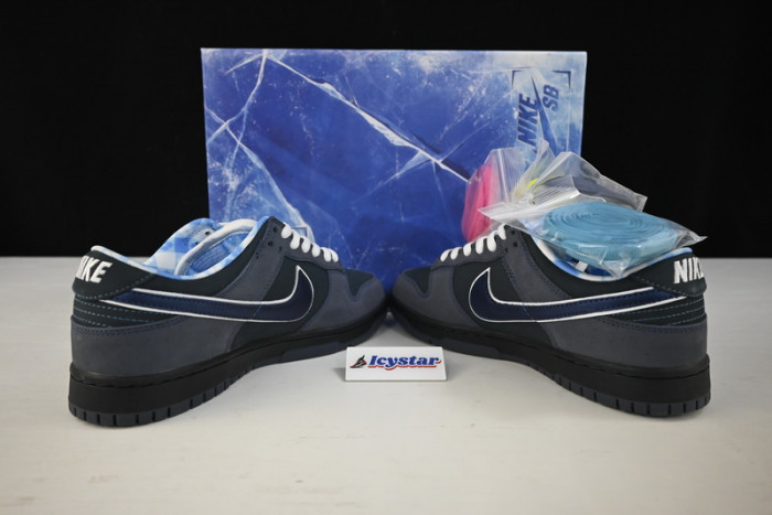 Nike SB Dunk Low Concepts Blue Lobster 313170-342