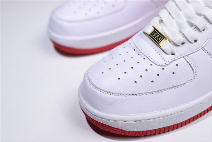 Nike Air Force 1 Low Fo Fi Fo AQ5107-100