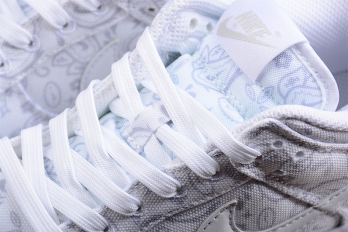 Nike Dunk Low DJ9955-100