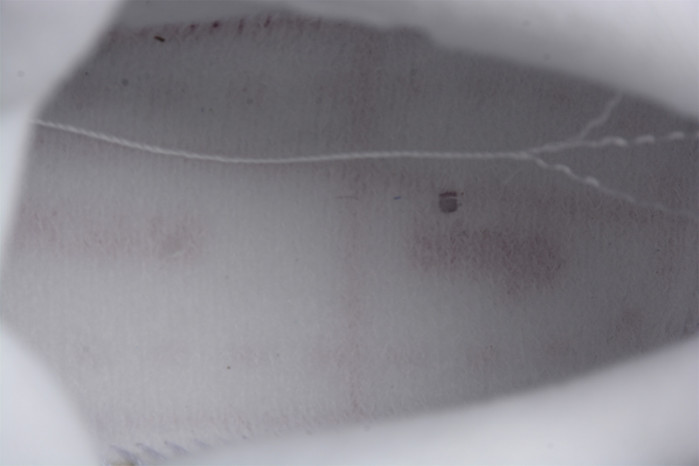 AIR JORDAN 4 CANVAS SAIL CEMENT GREY DQ4909-100