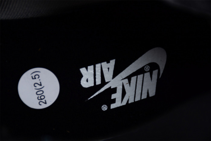 Jordan 1 High Element Gore-Tex Berry DB2889-500