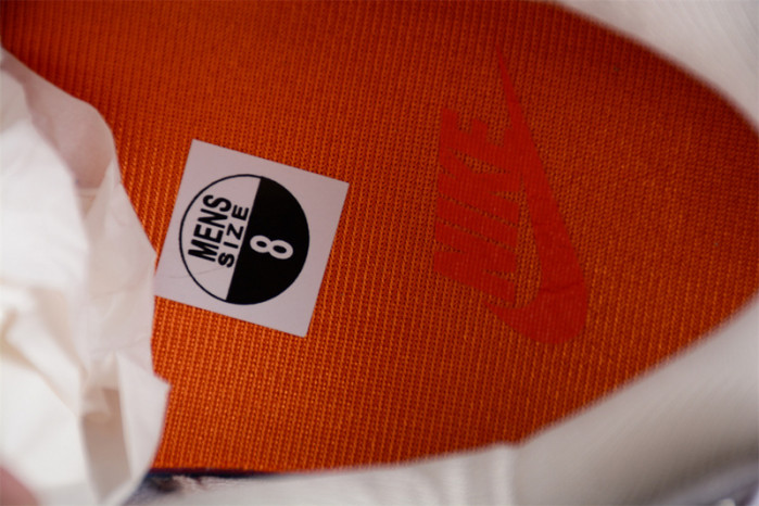 NIKE AIR MAX 1 METAL CHARMS FJ7734-101