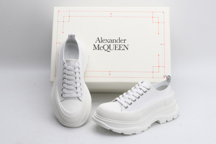 ALEXANDER MCQ66