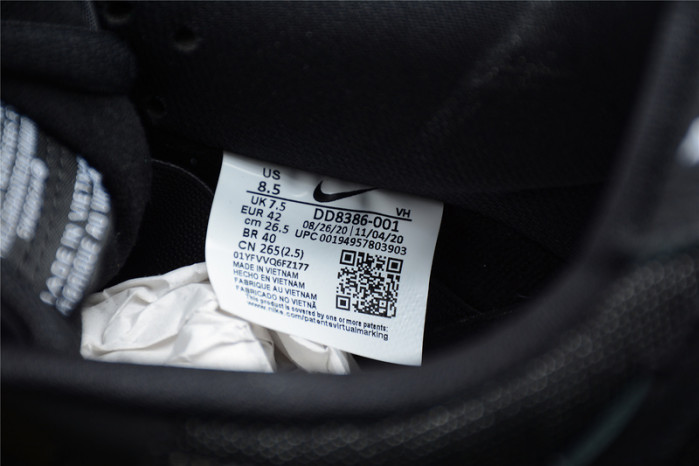 Wasted Youth × Nike Dunk SB Low “Black” DD8386-001